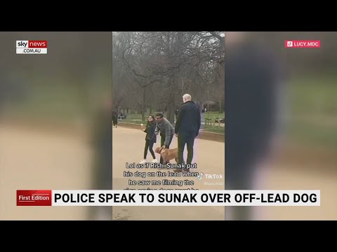 UK police speak to Rishi Sunak over off-lead dog