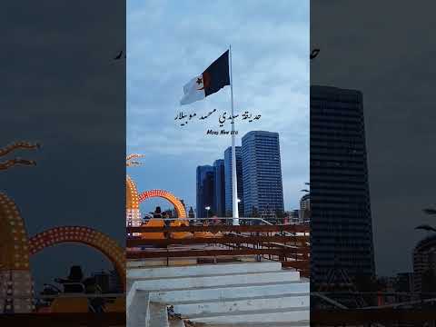 وتطيب الحياة لمن لا يبالي أﻻ ليت بالي لا يبالي عبارات Reels