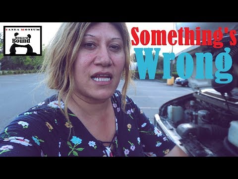 saying-goodbye-to-nomadic-fanatic,-fulltinyhouse,-dave's-rv-life-&-taking-a-test-drive