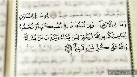 لله ما في السماوات و ما في الأرض || سورة البقرة || القارئ الشيخ ماهر المعيقلي