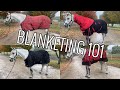 All About Horse Blanketing