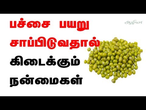பச்சை பயறு | Mung Bean Benefits In Tamil