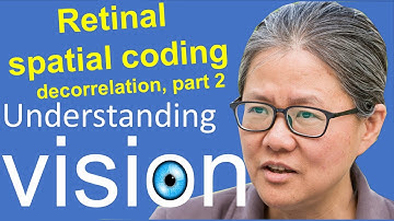 Understanding vision book:  Chap 3, Efficient Coding 17.2: retinal spatial coding,  decorreation-2.