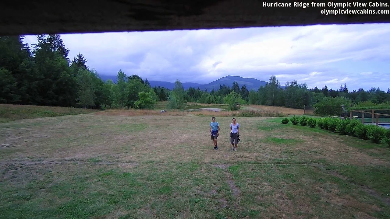 Hurricane Ridge Camera 2019-07-27 Olympic View Cabins Hurricane Ridge Cam - YouTube