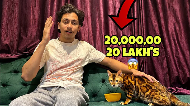 Video 11721231: catlover persiancat cutecat, persiancat cat cutecat, russian