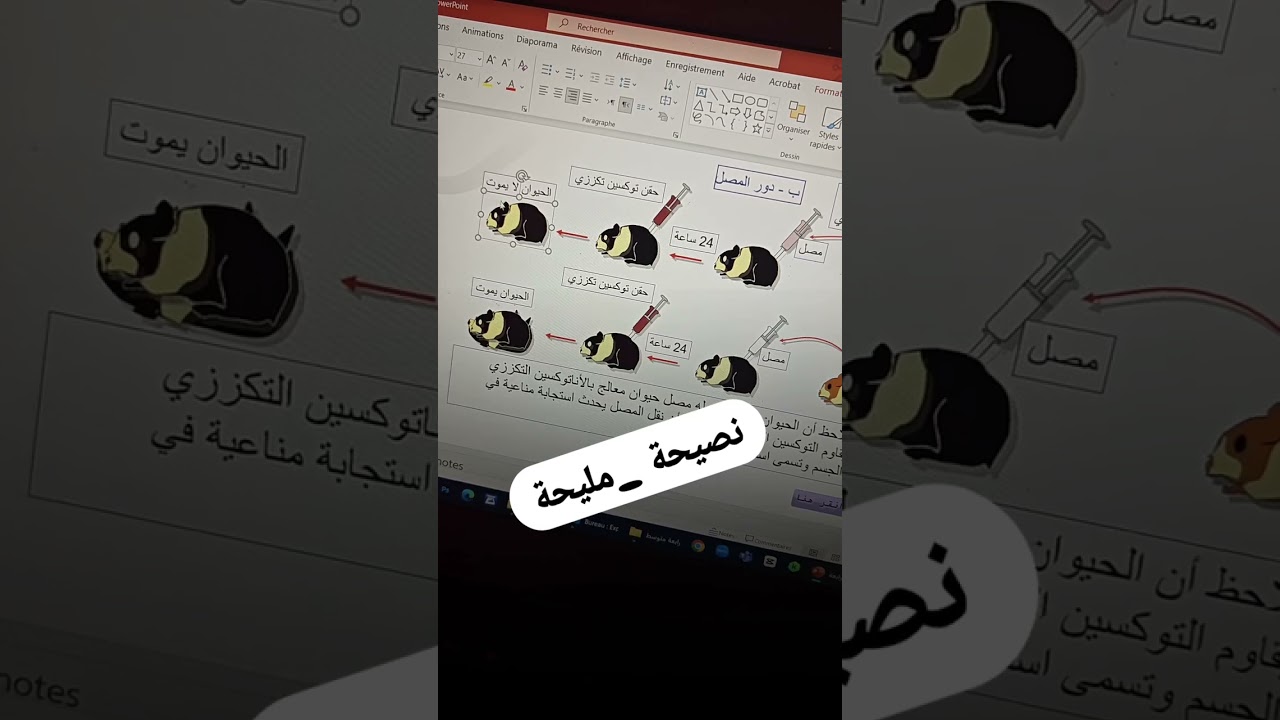 نصيحة مليحة للرابعة متوسطة متراطيش