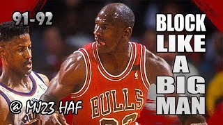 Michael Jordan Highlights vs Bullets (1991.12.14) - 29pts, 3 Monster Blocks!