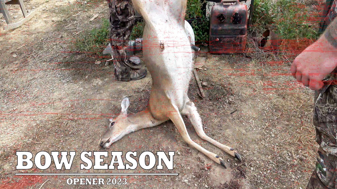 Louisiana Whitetail Deer Hunting Archery Opener 2023 YouTube