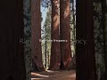 Raise your frequency. | Chakra Healing Meditation #Shorts