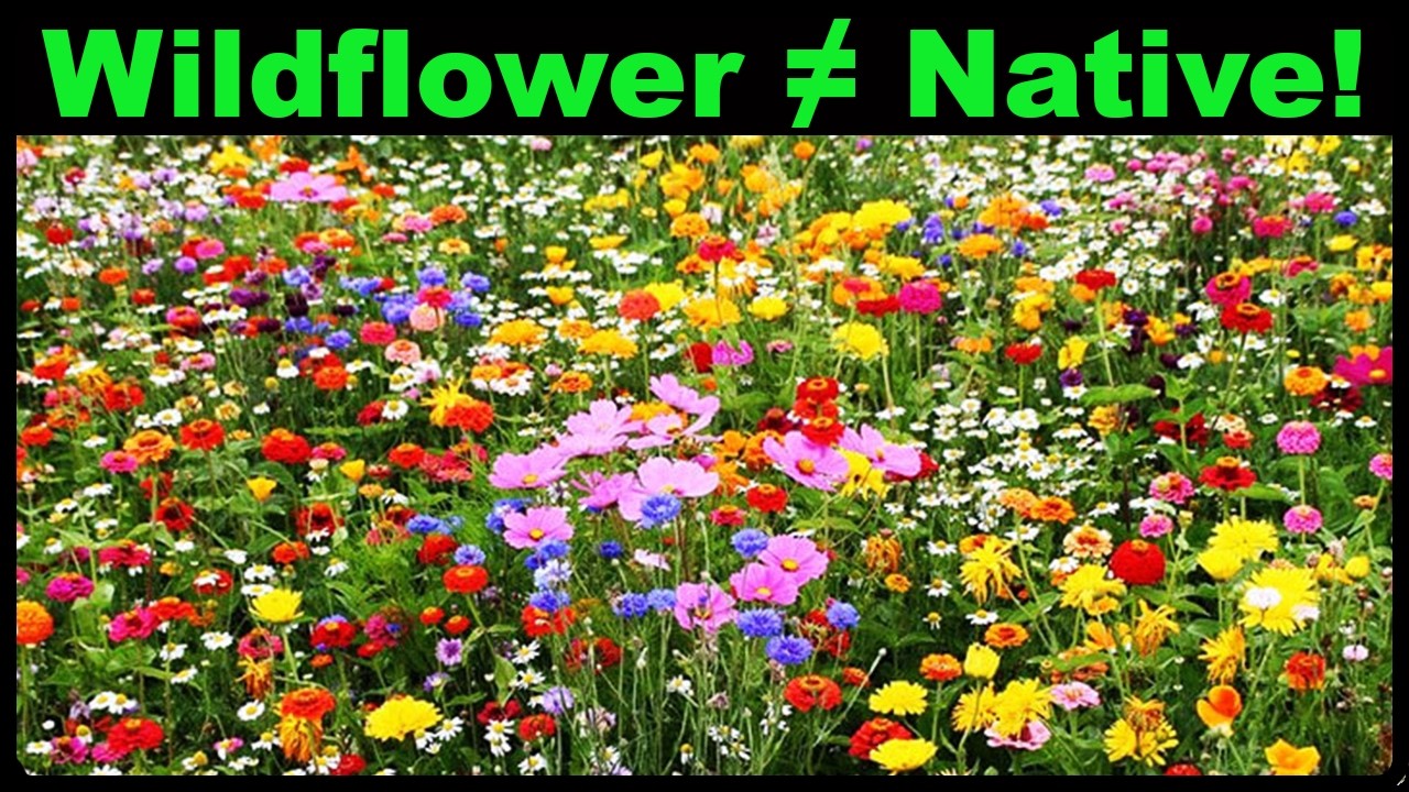 magnesium fertilizer for plants Buy Epsom Salt  Magnesium Sulphate Fertilizer for Plants