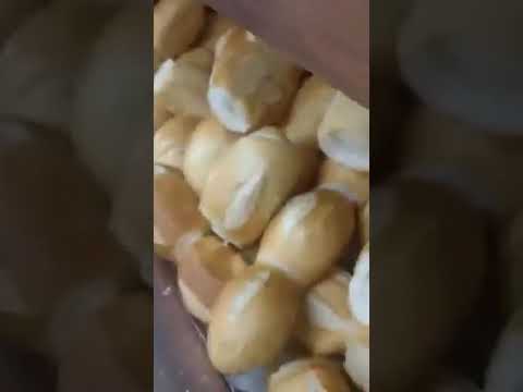 VÍDEO: Homem compra pacote de pão com rato vivo e 'achatado' dentro - RIC  Mais