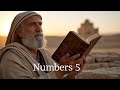 The Laws of Purity and Justice: Unraveling Numbers 5
