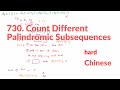 LeetCode 730. Count Different Palindromic Subsequences 中文解法 Chinese Version