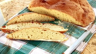 Domaći hleb koji se ne mesi / Seljački hleb/ No-Knead Bread Recipe