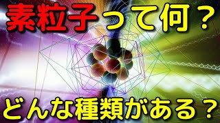 陽子や中性子の先の素粒子の世界がヤバイ【標準模型】