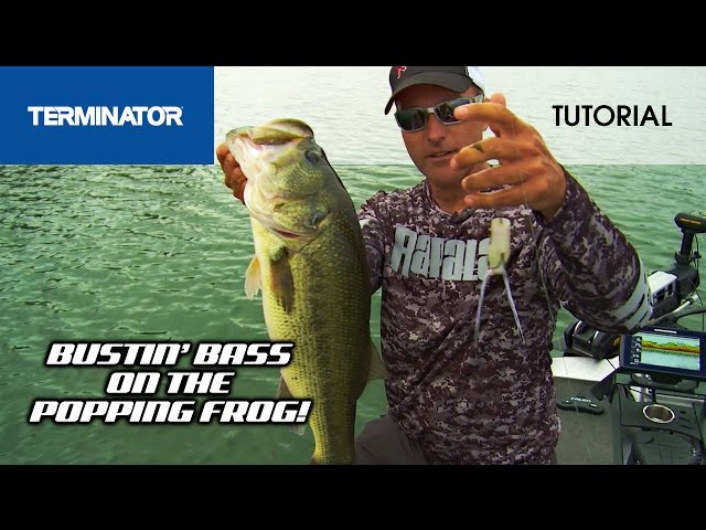 TOPWATER BASS BLOW UPS with the Terminator ®Popping Frog 