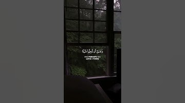{ وعسى أن تكرهوا شيئا وهو خير لكم } مشاري العفاسي - سورة البقرة