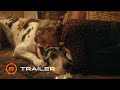 The Friend - Official Trailer (2025) - Bill Murray, Naomi Watts, Cloé Xhauflaire