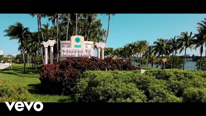 Bravo Luciano - Money Calling (Official Video)