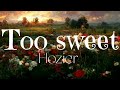 Too sweet – Hozier ( lyrics )