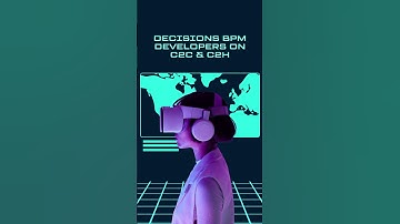 BriskWinIT’s Decisions BPM Developer