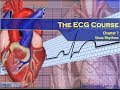 The ecg course  sinus rhythms