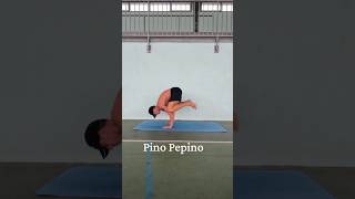 Pino Pepino 🥒