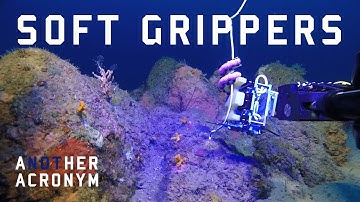 Prof. Rob Wood | Soft Robotics