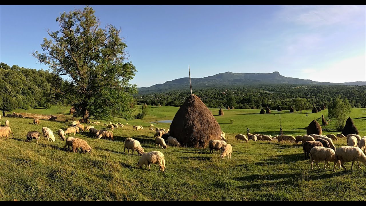 Off the Beaten Tracks - Private Guided Tours in Maramures, Transylvania - Romania !