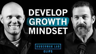 How to Develop a High-Growth Mindset | James Clear & Dr. Andrew Huberman