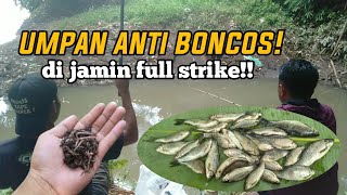 DI JAMIN PAKAI UMPAN INI!! AUTO FULL STRIKE!! SAMPAI TETANGGA IRI!!!