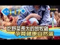 吃野菜的“自然放牧蛋雞”【台灣真善美】2019.05.12