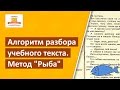 Как ребенку работать с учебным текстом? Эффективный метод "Рыба"