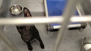 acs A560568