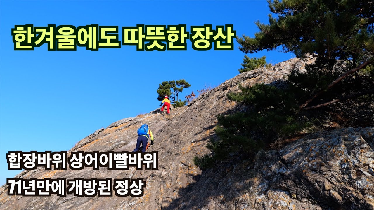 한국에서 제일 따뜻한 산 20분만 오르면 최고 조망 장산