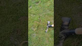 Plantando no gramado #teste #ideia