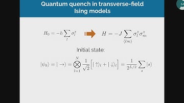 Introduction to dynamical quantum phase transitions I Part2