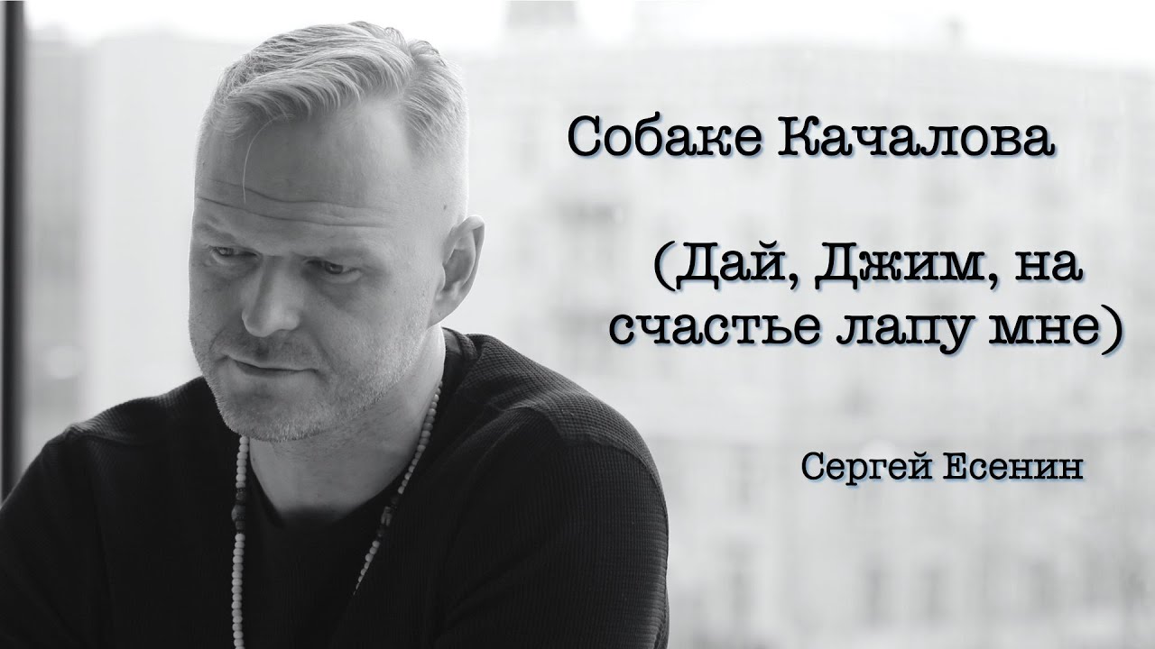 \"Собаке Качалова\"(Дай, Джим, на счастье лапу мне) Сергей Есенин. Читает ...