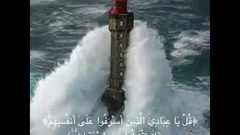 ياسر الدوسري ما تيسر من سورة الزمر