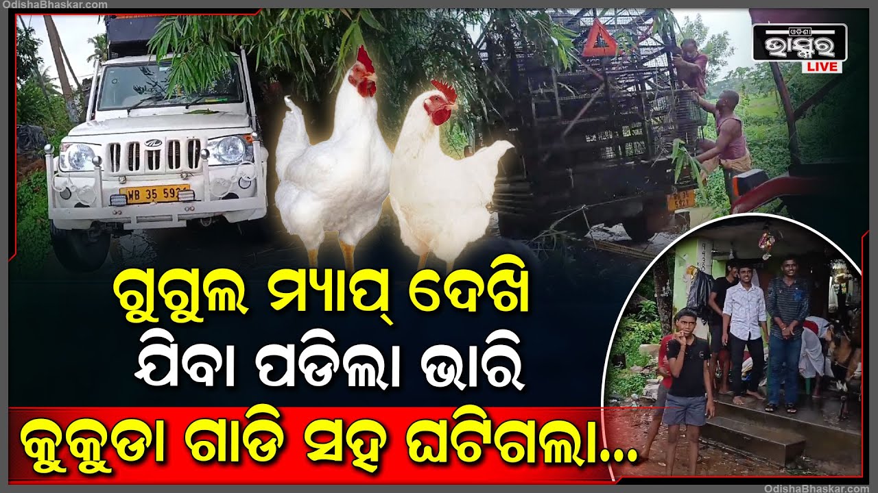 ଗୁଗୁଲ ମ୍ୟାପ୍ ଦେଖି ଯିବା ପଡିଲା ଭାରି । କୁକୁଡା ଗାଡି ସହ ଘଟିଗଲା...