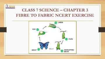 CLASS 7 SCIENCE - FIBRE TO FABRIC - CHAPTER 3 - PART 3 (NCERT EXERCISE) #AAYAMEDUCATION