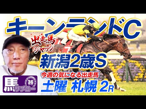 Keeneland Cup] Racehorse Judge - YouTube