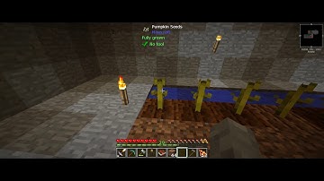 Minecraft Stoneblock Ep.1/Getting Started Again