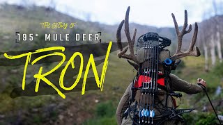 Bow Hunting Backcountry Mule Deer | The Story of "TRON" screenshot 5