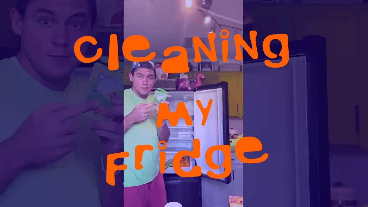 Cleaning ASMR / Motivation To Clean Your Own Fridge / Zena Landed On