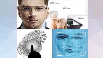 Biometric time attendance fingprint time attendance and access control system from China