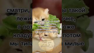 Так То Лучше! Смотри До Конца! Trollface Meme  #Мем #Meme #Memes #Приколы #Top #Юмор