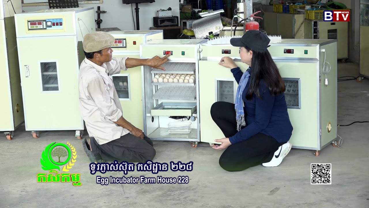 AGRICULTURE/កម្មវិធីកសិកម្មៈ ការផលិតទូរភ្ញាស់ស៊ុតបក្សី  របស់កសិដ្ឋាន 228