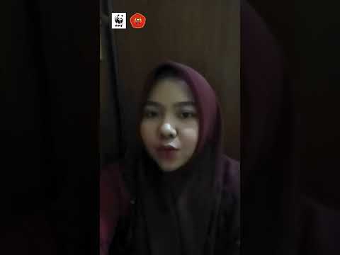 Video: Organisasi publik internasional untuk perlindungan alam