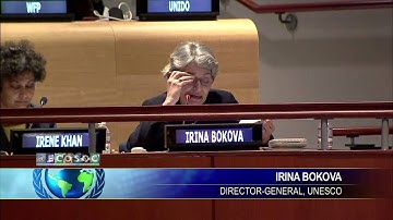 ECOSOC Adopts Ministerial Declaration, Charting the Way to 2015